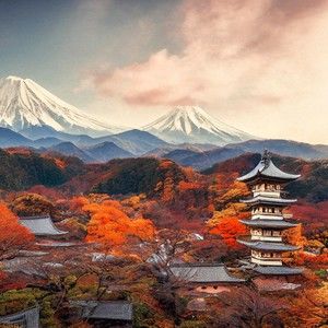 Meet your Posher, Joyce